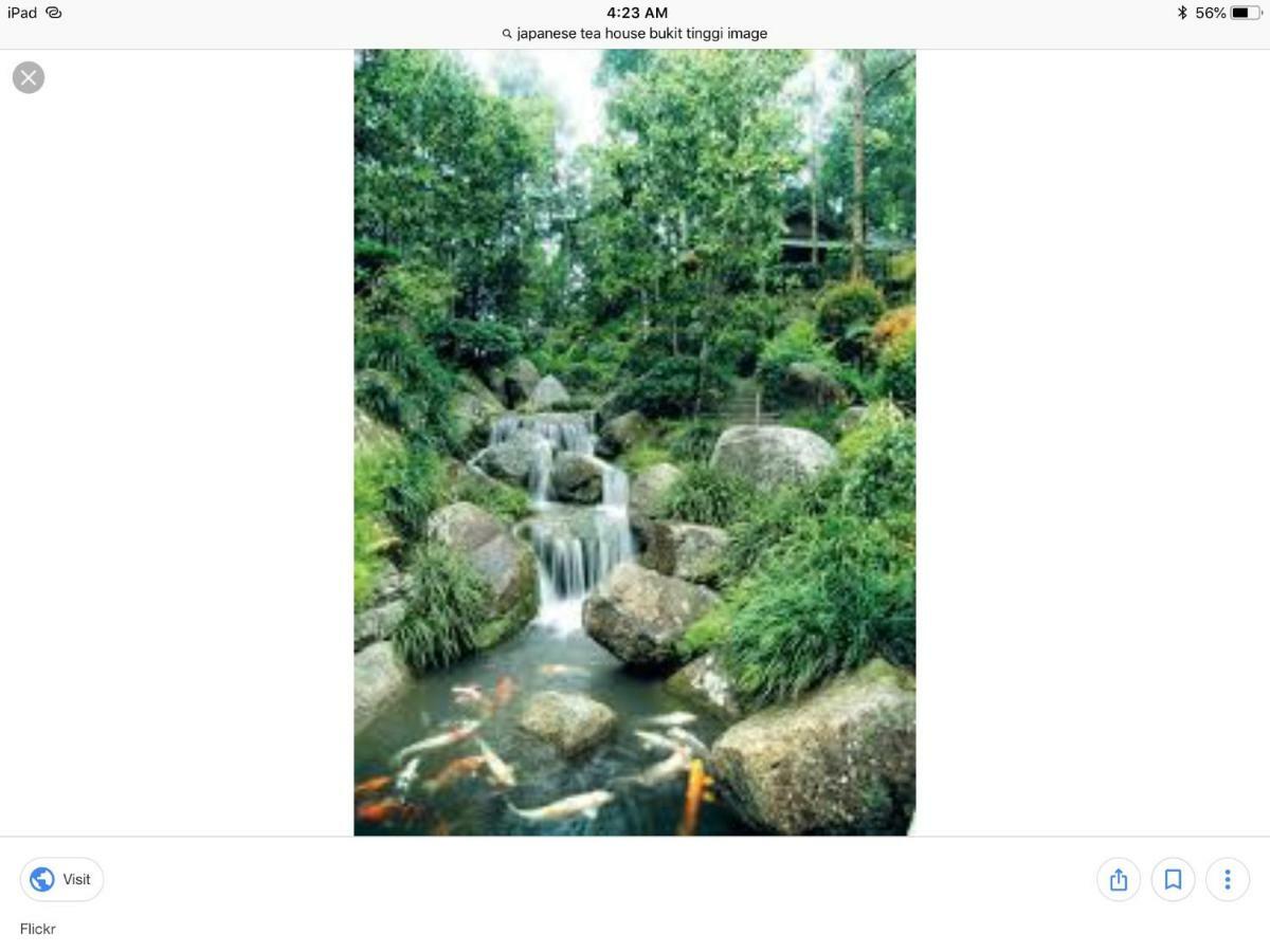 Bukit Tinggi Berjaya Hill Homestay Zewnętrze zdjęcie