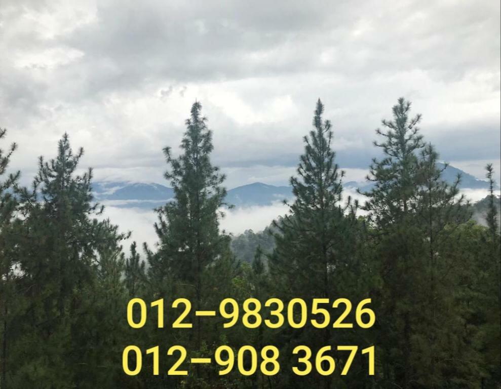 Bukit Tinggi Berjaya Hill Homestay Zewnętrze zdjęcie